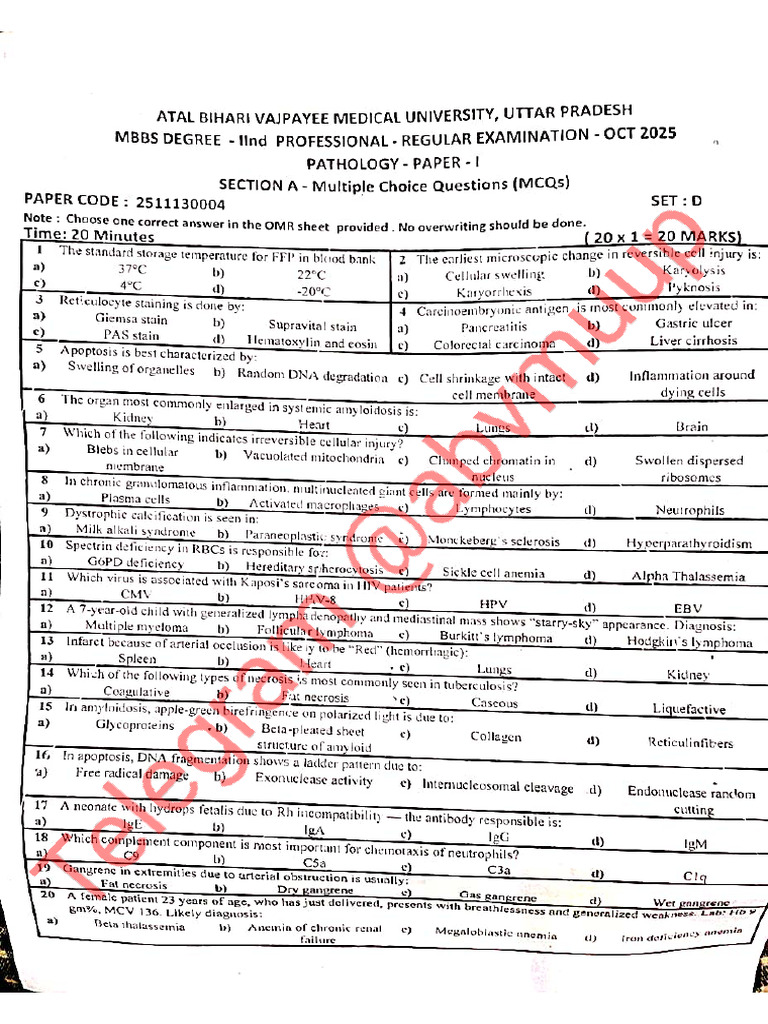 23 Batch 2nd Proff ABVMU | PDF