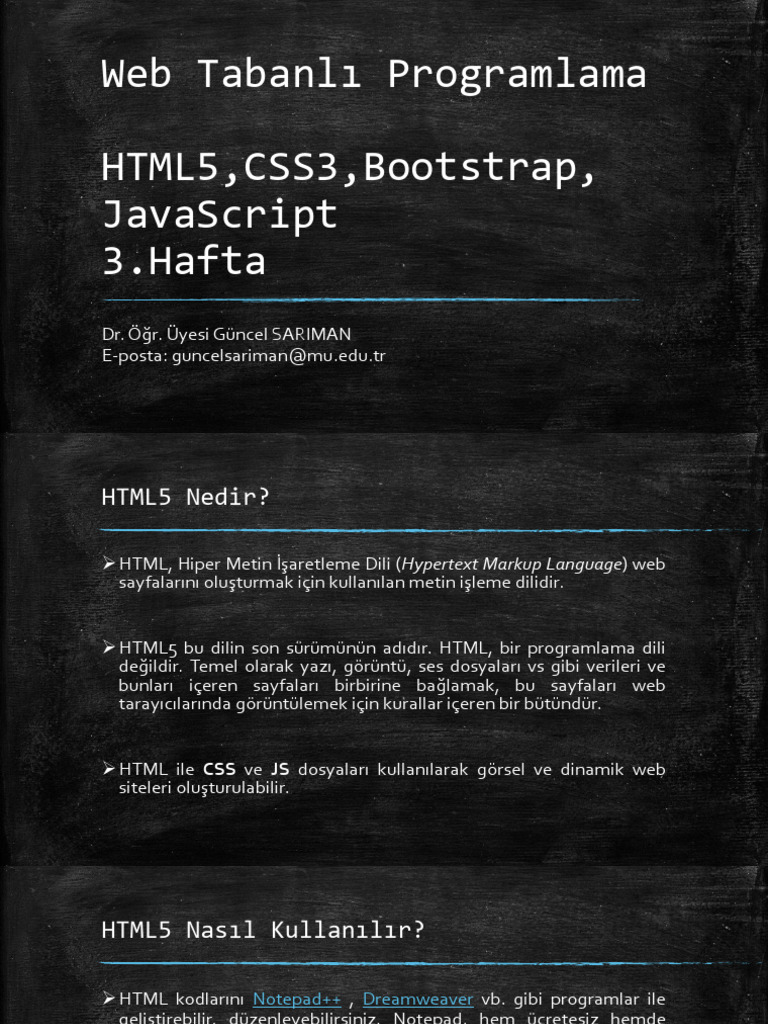 3.hafta Web Programlama | PDF