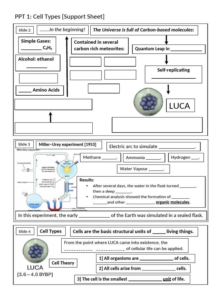 1 Cell Types (Suppoet Sheet) | PDF | Eukaryotes | Cell (Biology)