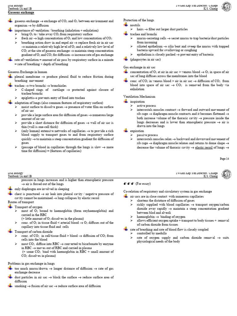 Chapter 7 Note Gas Exchange Human | PDF | Respiratory Tract | Lung