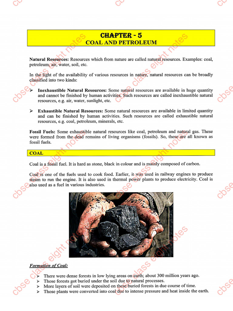 Coal and Petroleum Notes With Solved and Unsolved Exercise | PDF