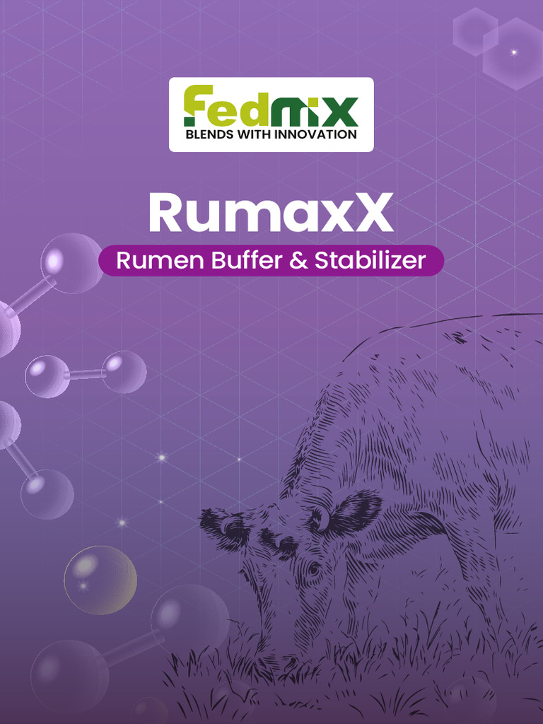 RumaxX Brochure | PDF