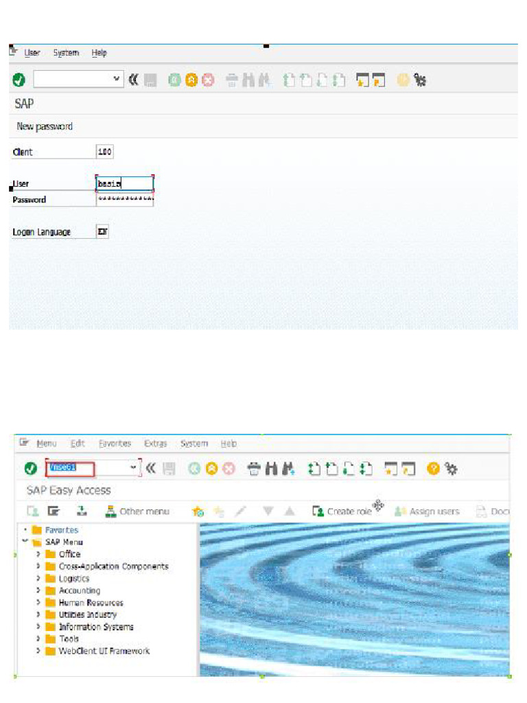 Procedure To Customize The Initial SAP Logon Screen | PDF