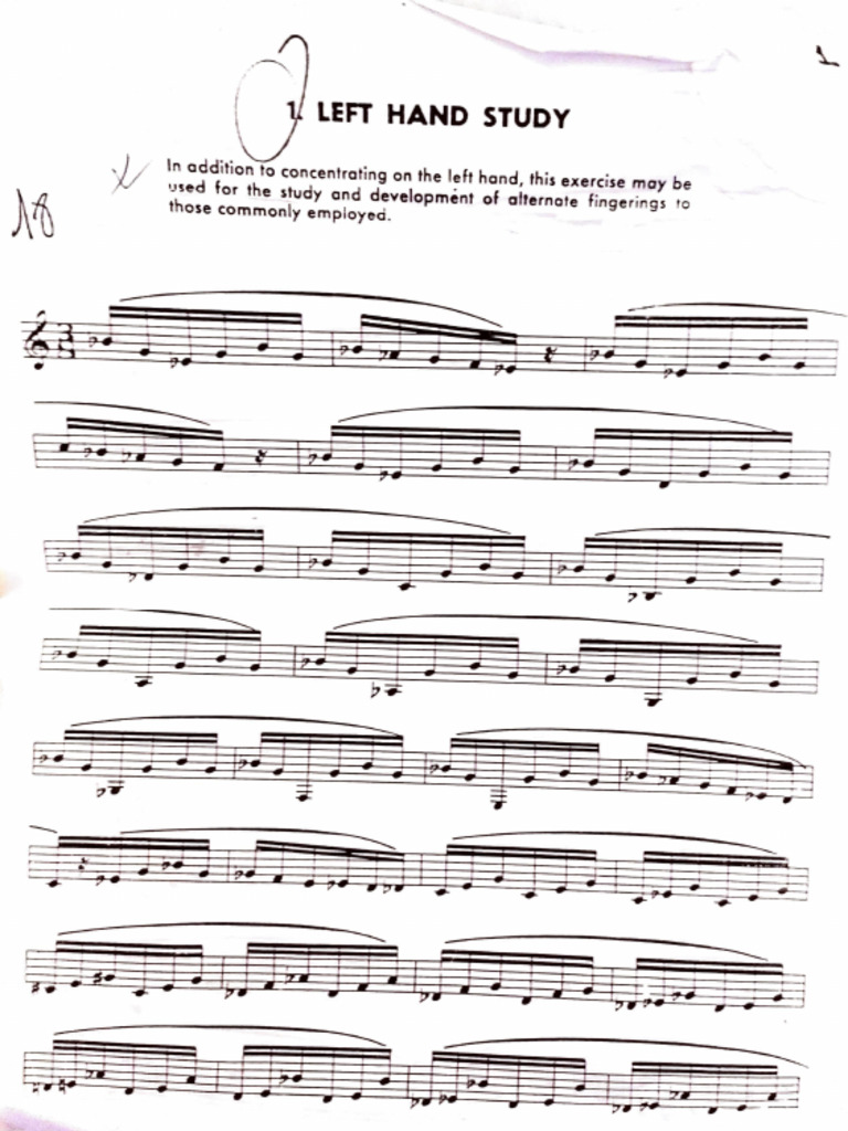 Opperman, Left and Right Hand Studies | PDF