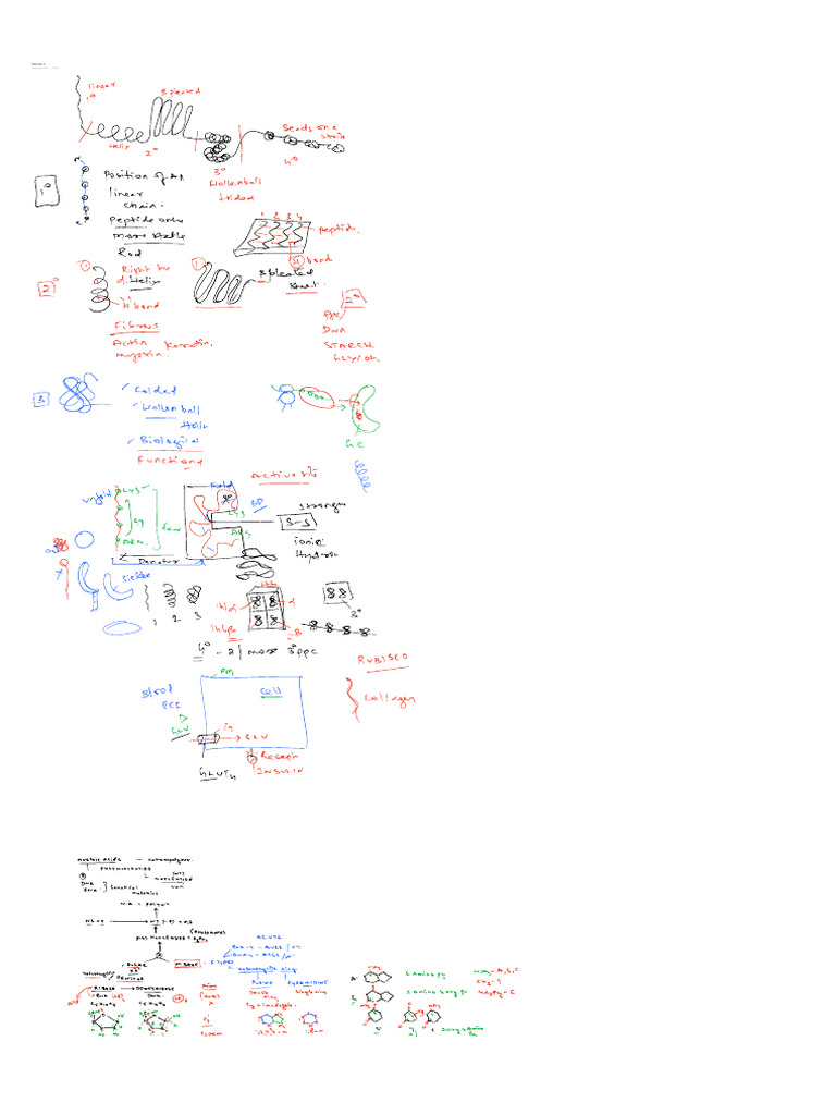 Biomol 2 | PDF