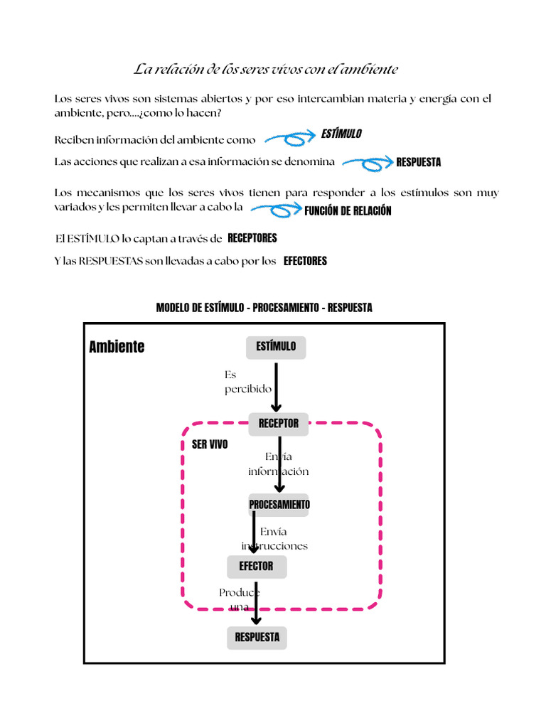 ESTIMULO RESPUESTA - Teoria para Alumno Con Integración | PDF ...
