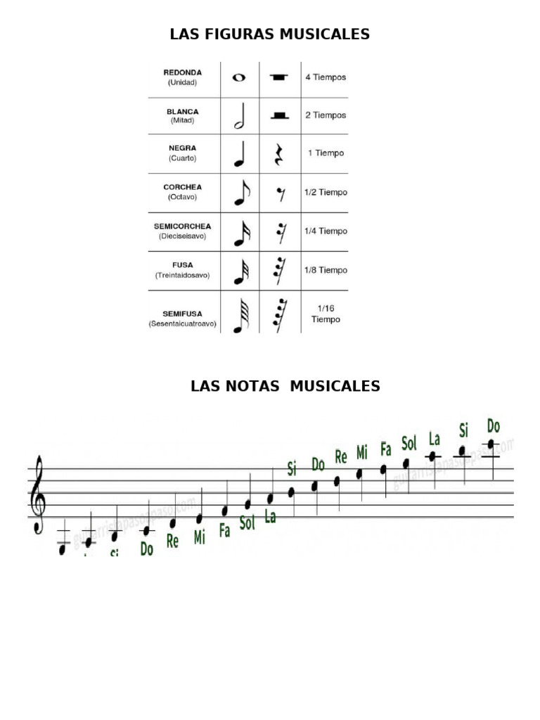 Las Notas Musicales y Figuras | PDF