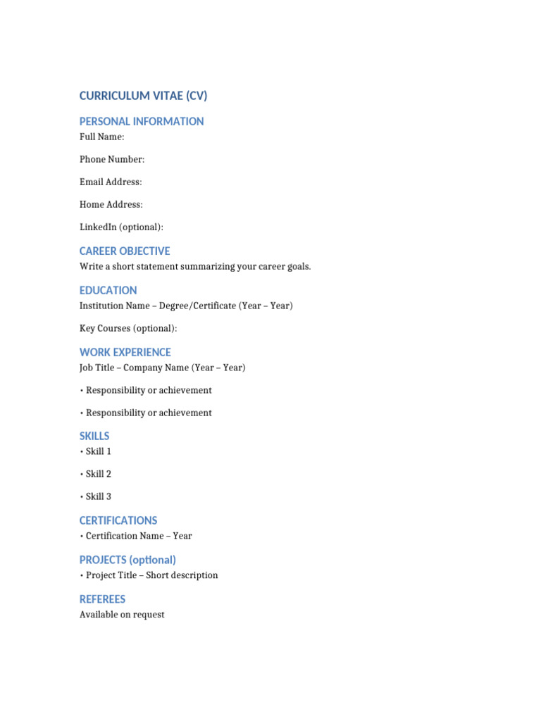 Professional CV Template | PDF