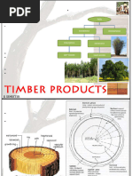 Natural Defects in Timber Explained | PDF