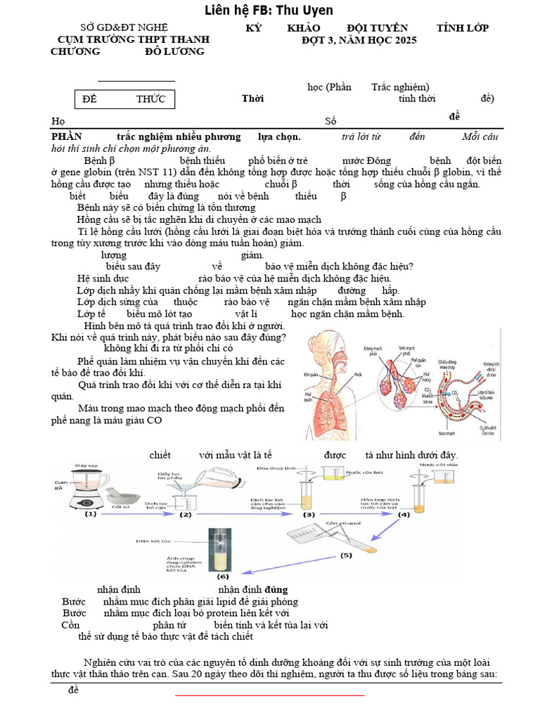Ma de 0401 | PDF