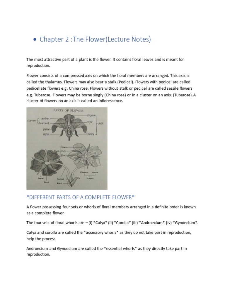 Flower | PDF | Petal | Flowers