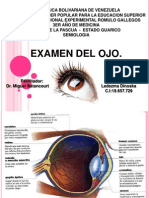 Examen Del Ojo