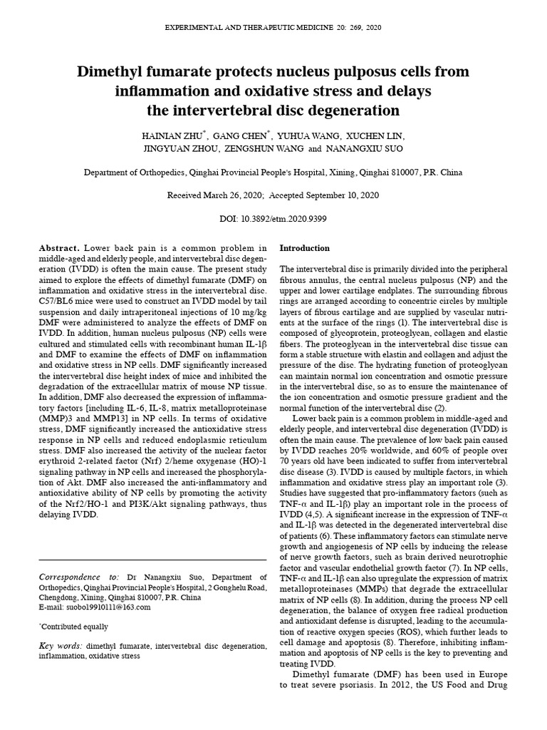 Dimethyl Fumarate Protects Nucleus Pulposus Cells From Inflammation and ...