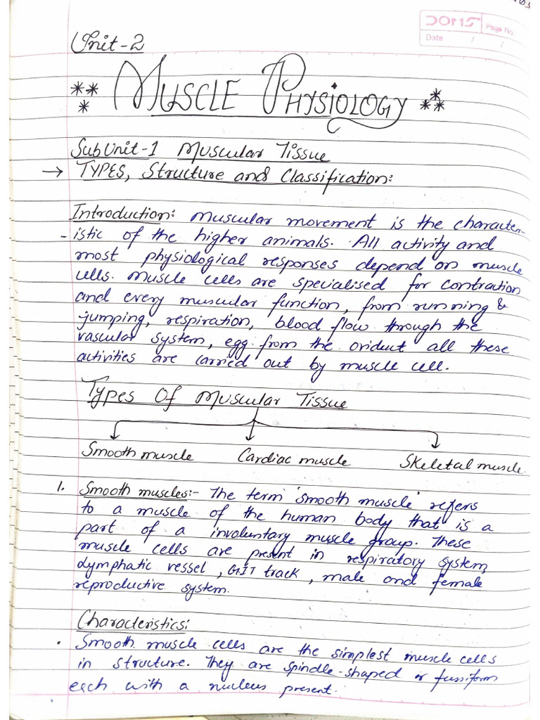 Muscle Physiology | PDF