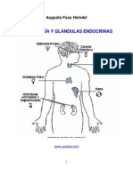 Astrologia y Glandulas Endocrinas