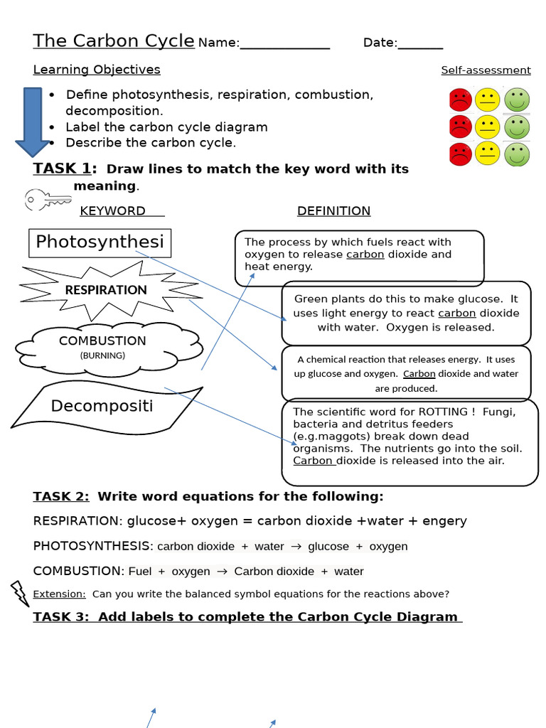 Carbon Cycle Worksheet EK | PDF | Carbon Dioxide | Combustion