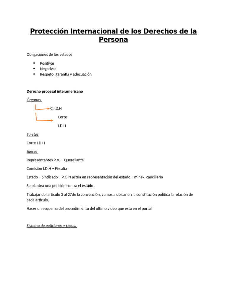 Protección Internacional de Los Derechos de La Persona | PDF