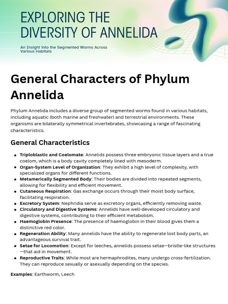 General Characters of Phylum Annelida | PDF | Zoology | Biology