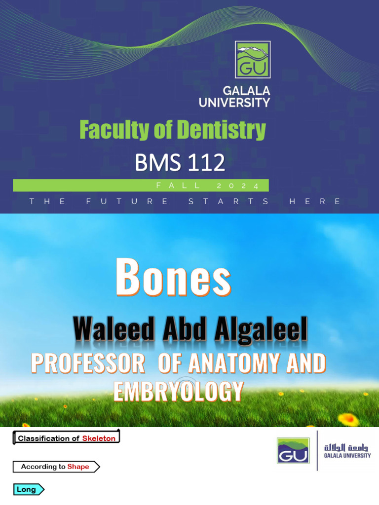 3rd Lecture Bones & Joints Part 1 | PDF | Vertebra | Bone
