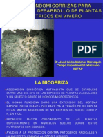 LAMICORRIZA