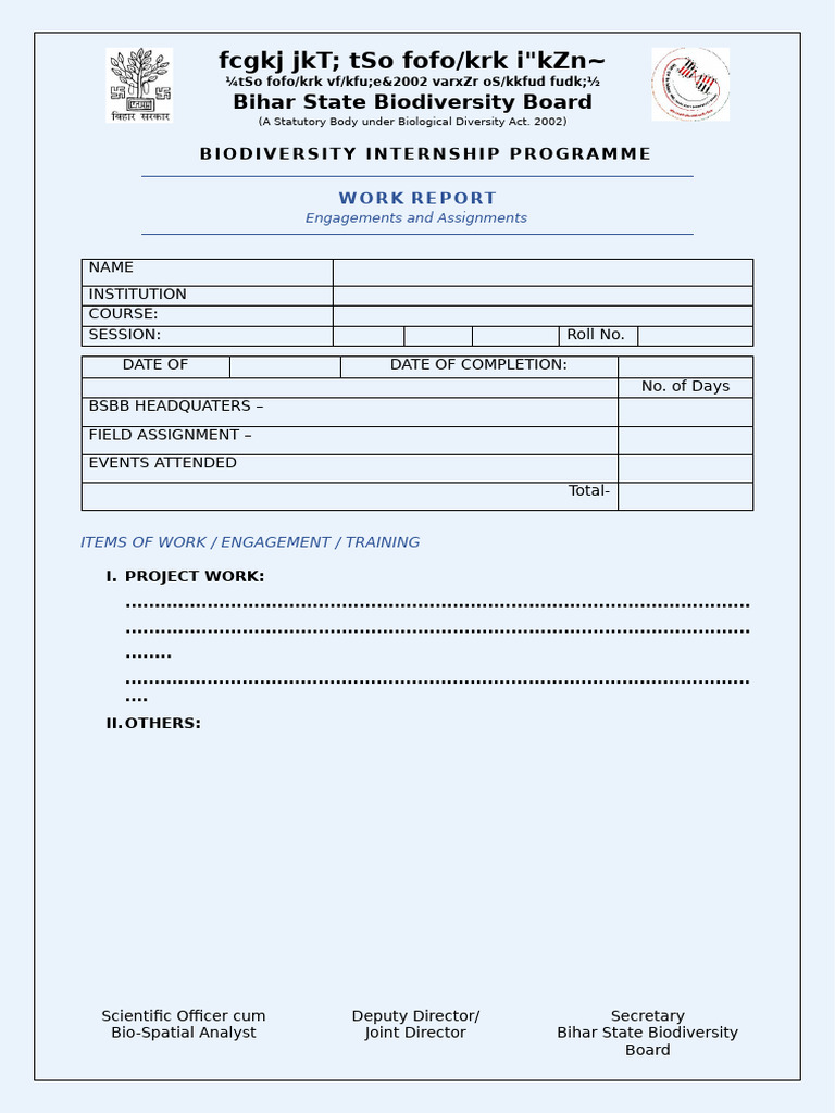 Work Report Format | PDF