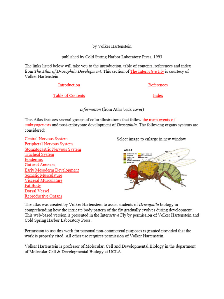 Atlas of Drosophila Development | PDF | Nervous System | Neuron