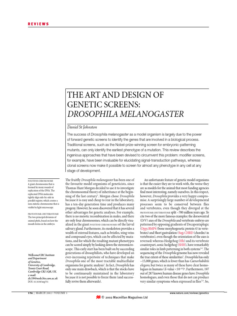 Art and Design of Genetic Screen | PDF | Genetics | Drosophila Melanogaster