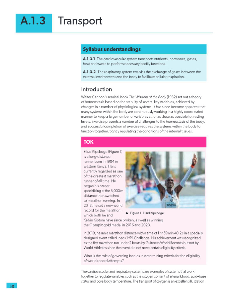 A 1 3 | PDF