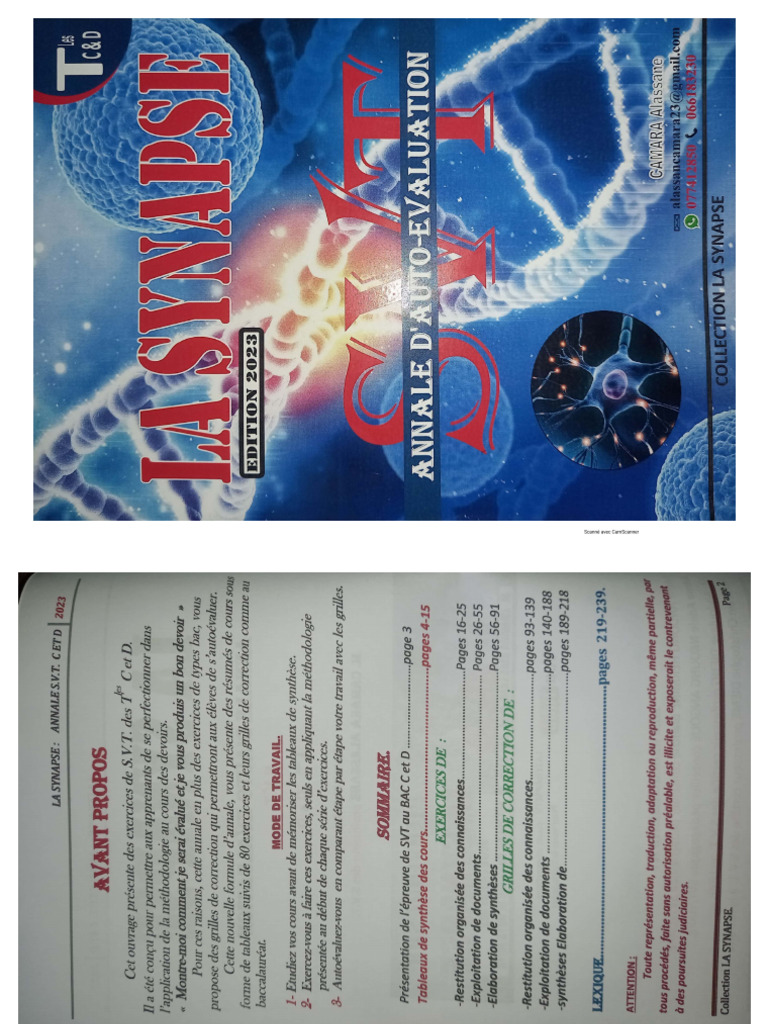 La Synapse 2 | PDF