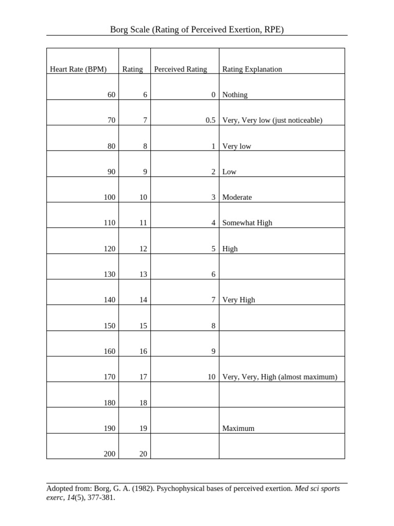 Borg Scale | PDF