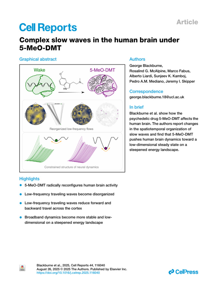 Complex Slow Waves in The Human Brain Under 5-MeO-DMT | PDF | Neural ...