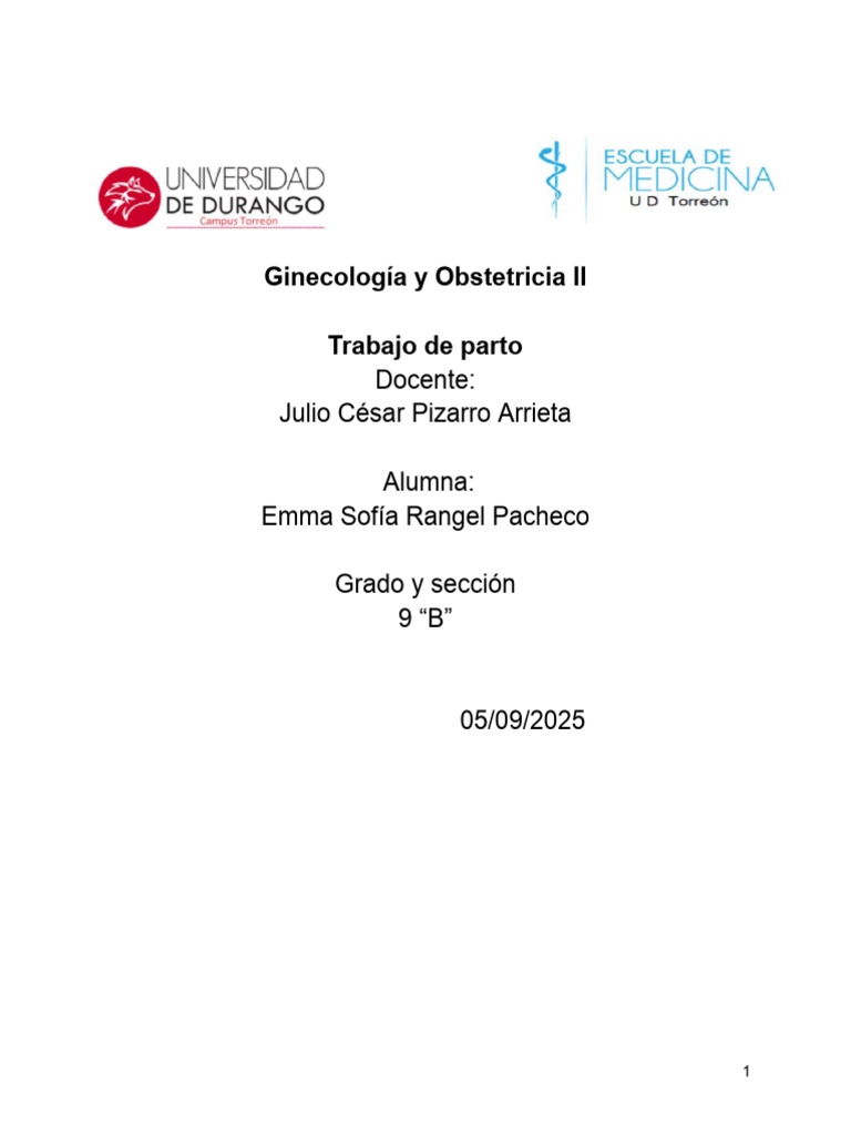 9B_Emma Sofía Rangel Pacheco_ ensayo trabajo de parto | PDF | Parto ...