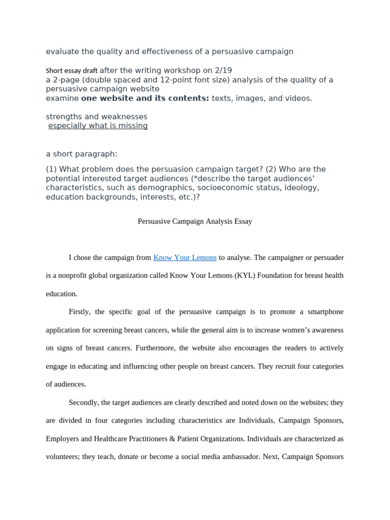 Persuasive Campaign Analysis Essay Draft | PDF | Target Audience ...