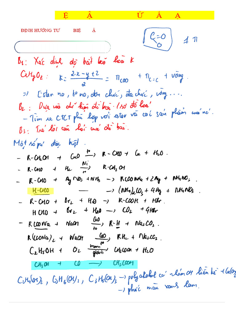 Biện Luận CTCT Của Ester | PDF