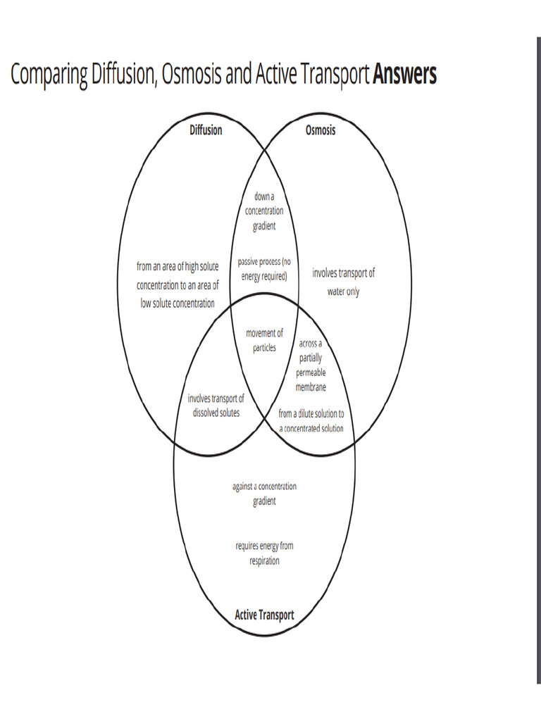 Comparison of Diffusion Osmosis and Active Transport | PDF
