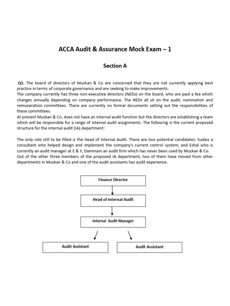 Mock 1 Question Paper | PDF | Internal Audit | Auditor's Report