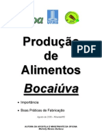 BPF Bocaiuva