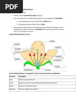 Wind vs Insect Pollinated Flowers | PDF