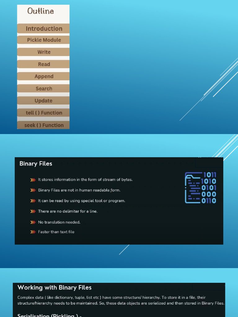 5-File Handling Binary Files | PDF