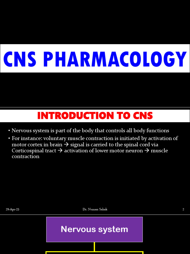 Anxiolytics & Hepnotics With CNS Overview 3 | PDF | Spinal Cord ...