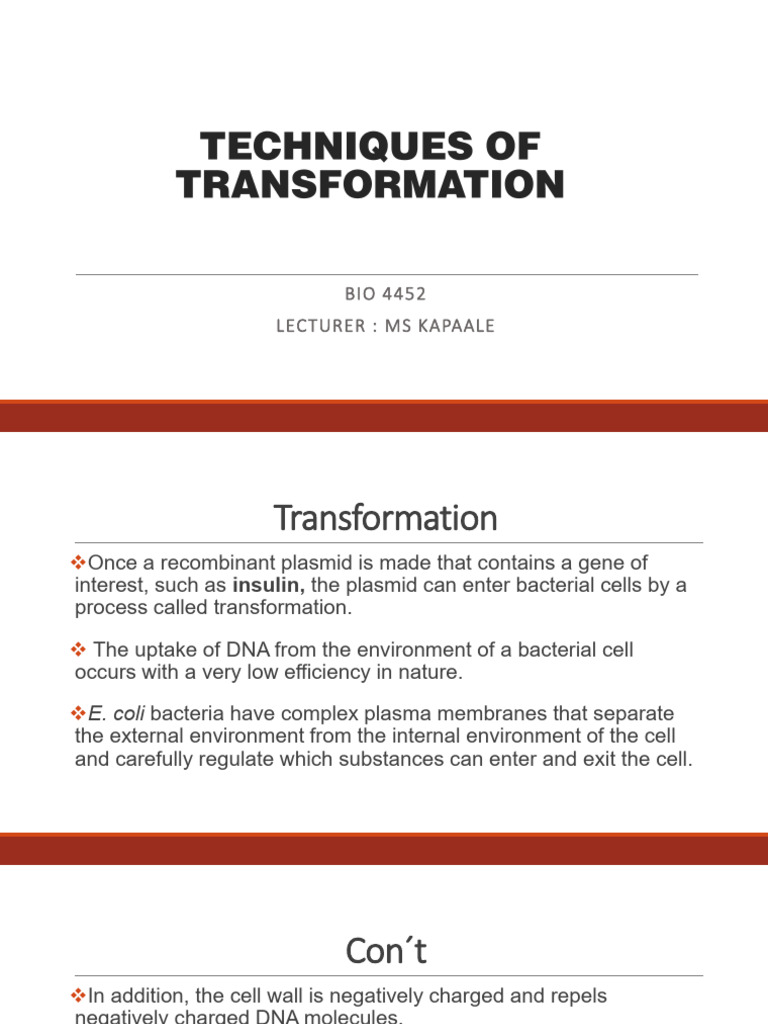 Techniques of Transformation | PDF | Transfection | Molecular Cloning