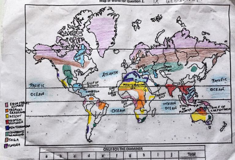 Natural Vegetation World Map | PDF