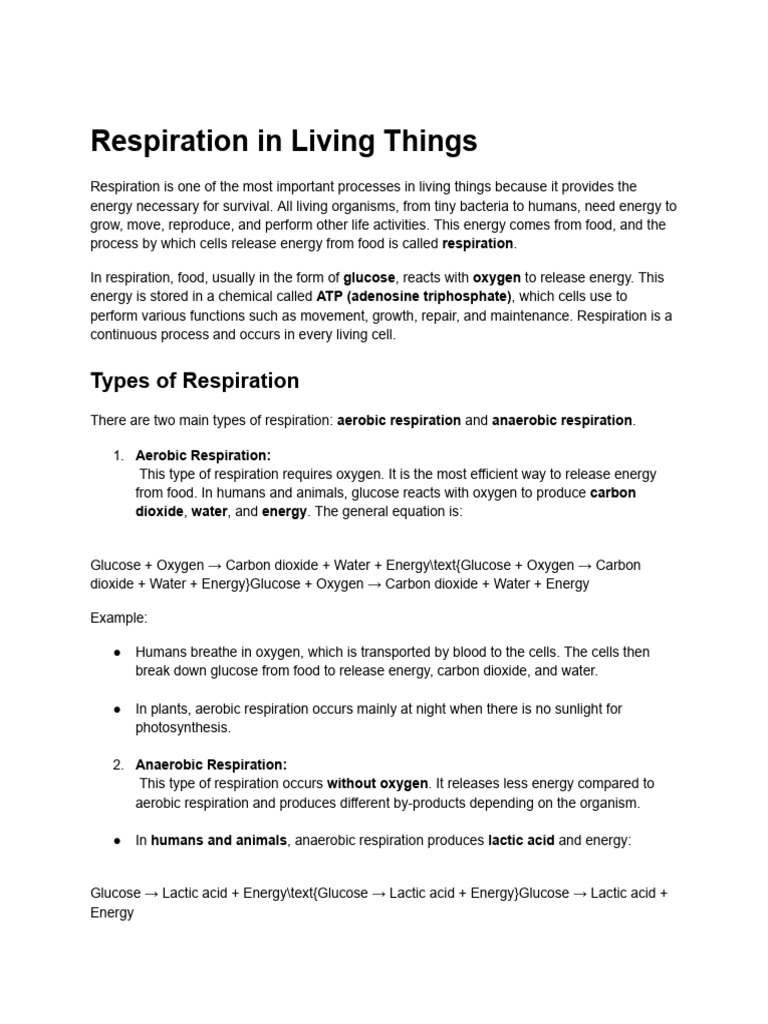 Respiration in Living Things | PDF | Cellular Respiration | Glucose