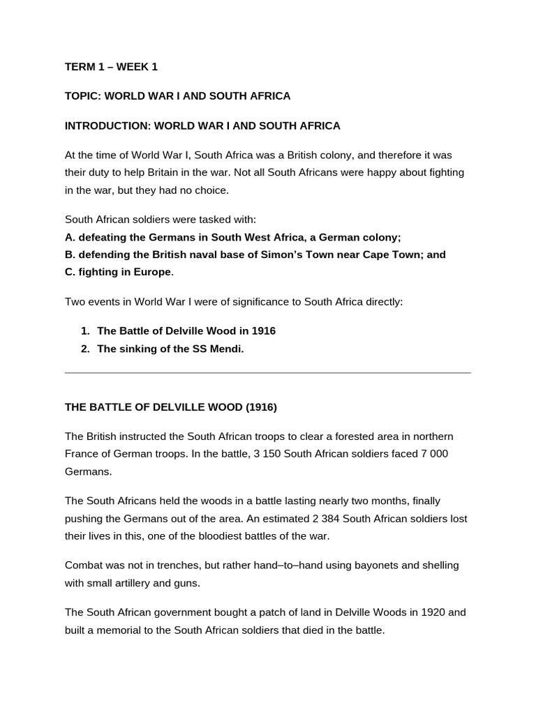 Term 1 History Grade 9 | PDF | Nazi Germany | World War I