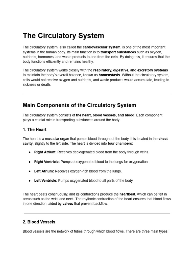 The Circulatory System | PDF | Circulatory System | Blood
