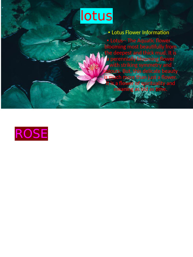 Lotus | PDF