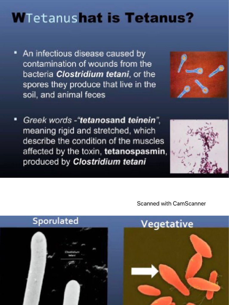 Tetanus 4 Jan | PDF
