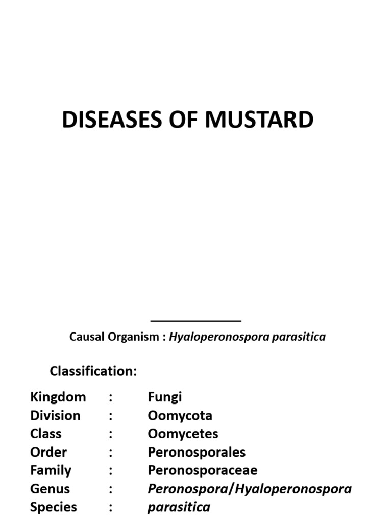 Diseases of Mustard Final | PDF | Fungus | Microbiology