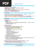 Banderas Rojas en Cefalea: SNOOP4 | PDF | Dolor de cabeza | Meningitis