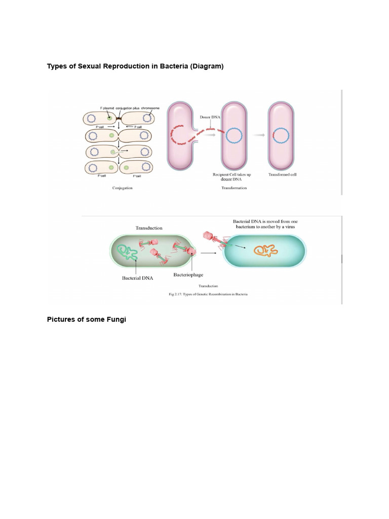 Biological Classification-Additional | PDF